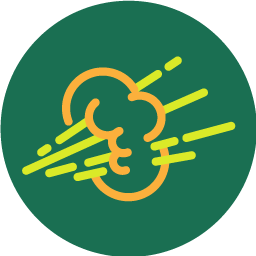 FartStrategy logo